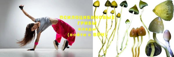 мескалин Касимов