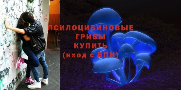 наркотики Карпинск
